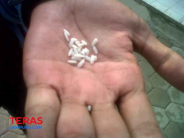 Beras Plastik, Polresta Tunggu Hasil Uji Beras di Empat Lab