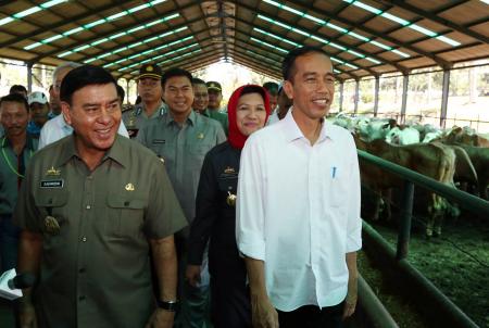 Dinas Peternakan Lamsel tidak Tahu Kapan Kartu Ternak Direalisasikan