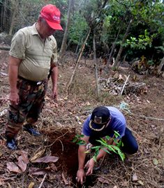 Mudik Sambil Menanam Pohon