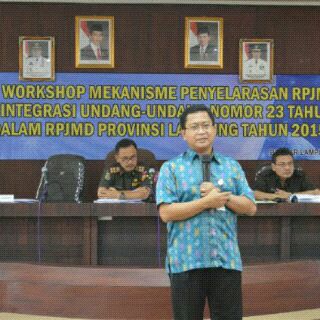 Pemprov Lampung Perlu Revisi RPJMD 2015-2019