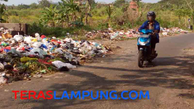 Inilah Wajah Kotor Kota Kalianda