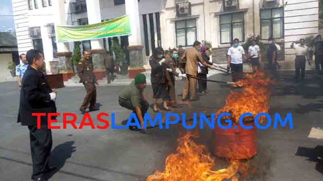 Kejari Kalianda Musnahkan Barang Bukti Bukti Narkoba