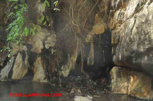   Pancaran air panas yang menyerupai gerojokan keluar dari tebing sungai. Inilah titik kedua sumber air panas di Desa Way Panas.