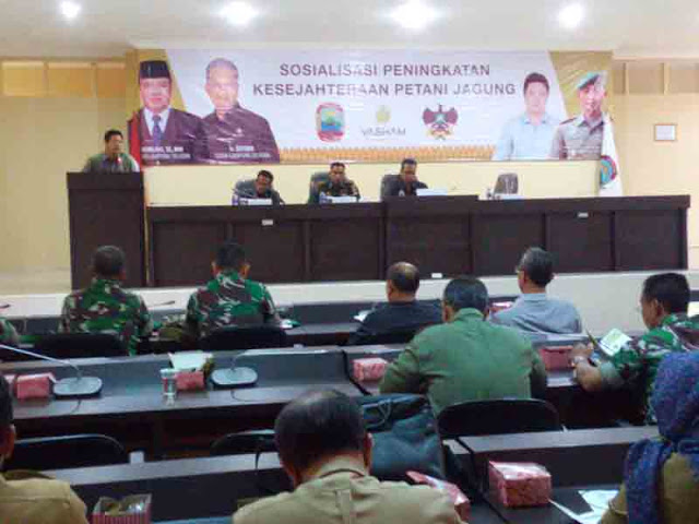 PT. Vasham Tingkatkan Kesejahteraan Petani Jagung di Lampung Selatan