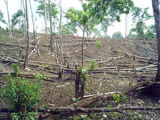 Rachmat Witoelar Ajak Pelaku Bisnis Turunkan Emisi Gas Rumah Kaca