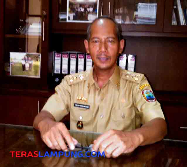 Pemkab Lamsel Optimalkan Sistem Pelayanan Terpadu Satu Pintu