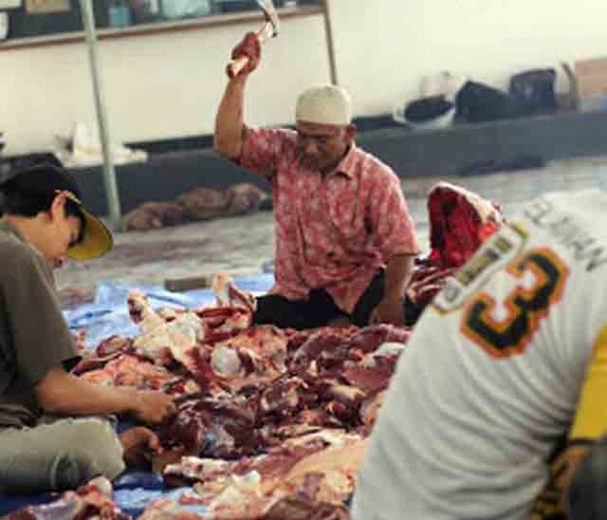 Partai PKS Lampung Kurban 284 Ekor Sapi , 516 Kambing dan 1 Kerbau