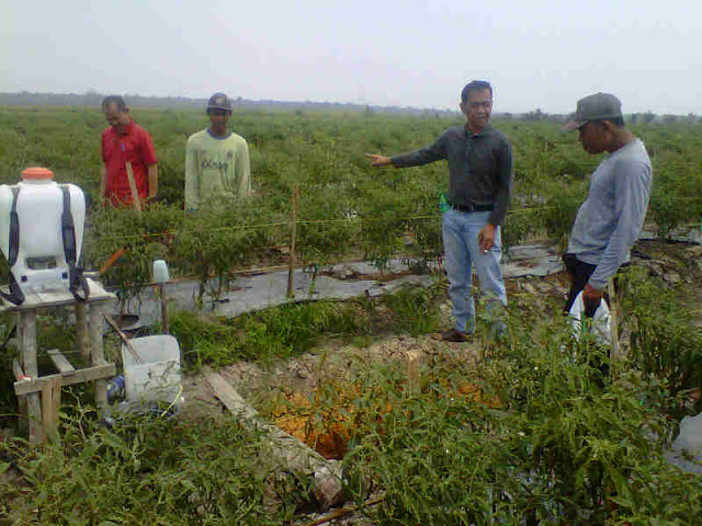 Warga Desa Wonosari Mesuji Kesulitan Dapatkan Air Bersih