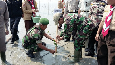 Danrem 043/Gatam dan Forkompimda Lamsel Tanam 10 Ribu Batang Mangrove