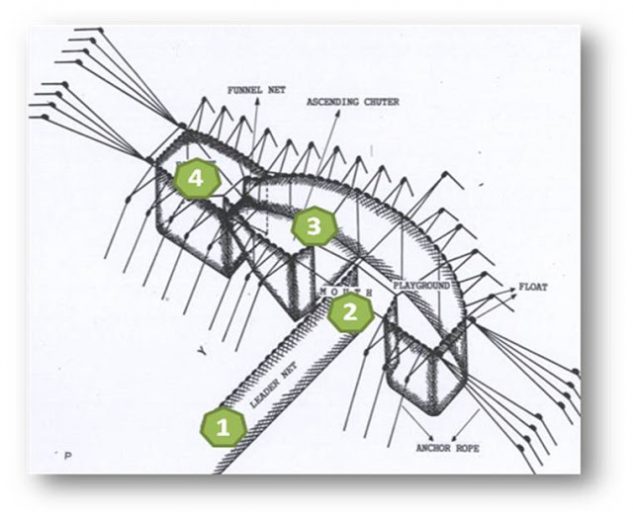 Mengenal Alat Tangkap Set Net yang Ramah Laingkungan dan Hemat Energi