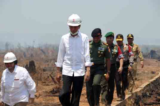 Presiden Minta Semua Elemen Bergerak Padamkan Kebakaran Hutan