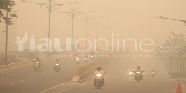 Kabut Asap, Jarak Pandang di Pelalawan Hanya 50 Meter