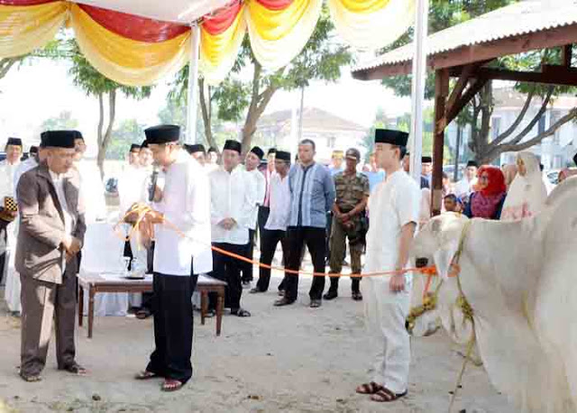 Bupati Lampura Serahkan Hewan Kurban
