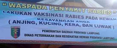 Dinas Peternakan Lampung Utara Klaim Sudah Memvaksin Rabies 1.500 Hewan