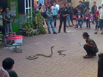Tarik Pengunjung, Stand Kota Bandar Lampung Sajikan Atraksi Kobra