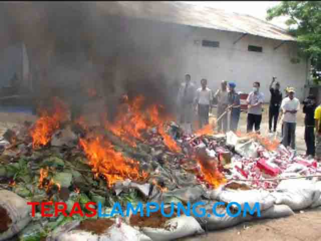 Bea Cukai Bandarlampung Musnahkan ‘Sex Toys’, Pistol, dan Barang Impor Ilegal Senilai Rp 496 juta