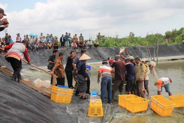 Petambak Dipasena Beri Masukan untuk RUU Perlindungan Nalayan dan Petambak