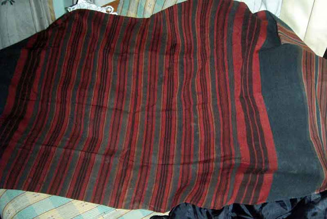 Wakil Lampung Ikuti Seminar Internasional Pansumnet 2015 di Sawahlunto