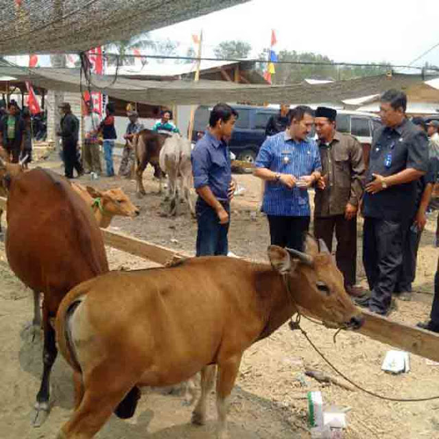 Wabup Heri Wardoyo Resmikan Pasar Hewan di Kampung Bujuk Agung