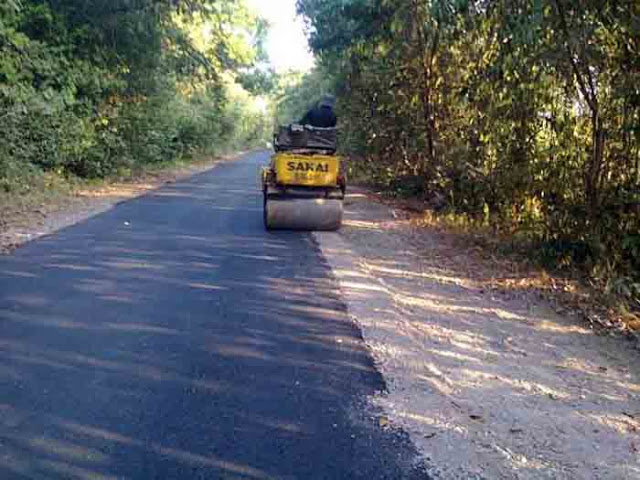 Horee! Jalan Menuju Taman Nasional Way Kambas dan Teluk Kiluan Diperbaiki