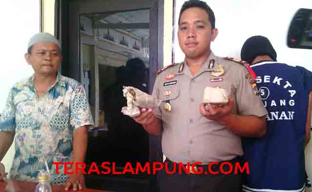 Jadi Bandar Ganja, Warga Karang Maritim Bandarlampung Dibekuk Polisi