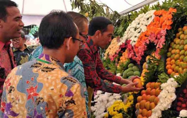 Ajak Tingkatkan Produksi Buah, Jokowi: “…Saya Lihat Buah Nanas Lampung Dijual di Uni Emirat Arab”