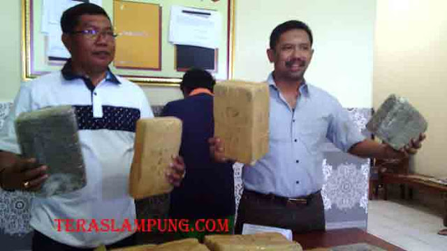 Bandar Ganja Jaringan Aceh Diringkus Polisi di Kios Baju Miliknya