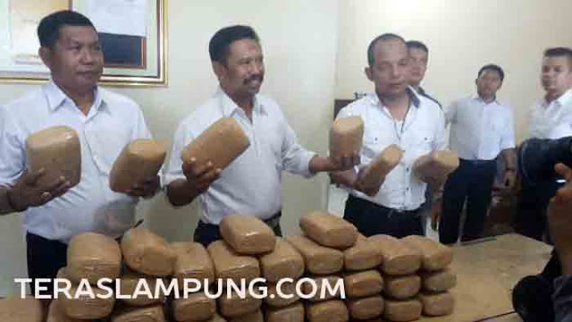 Polda Lampung Sita 40 Kg Ganja Dari Bandar Besar Jaringan Aceh