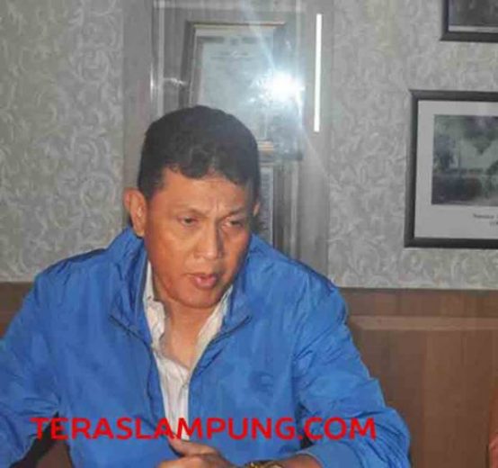 Polda akan Ungkap Kematian Gajah Yongki dan Tindak Tegas Anggota Sindikat Gading Gajah