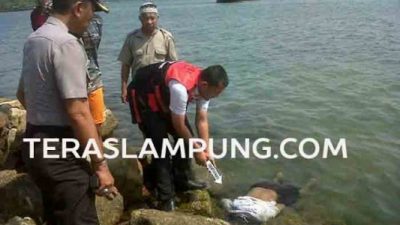 Mayat Warga Jl. R.E. Martadinata Bandarlampng Ditemukan Terapung di Pantai Harnas