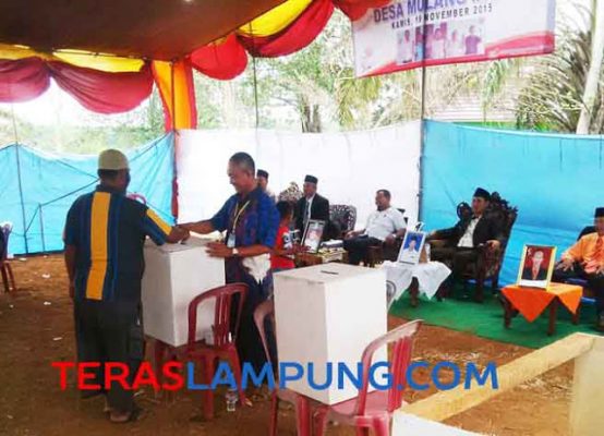 Pilkades Serentak di Lampung Utara, Sebagian Besar Kades Petahana Keok