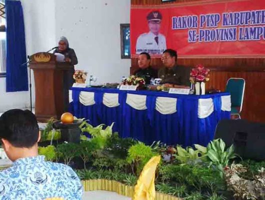 Wabub Lampura Harapkan Rakor PTSP Berdampak Positif bagi Investasi