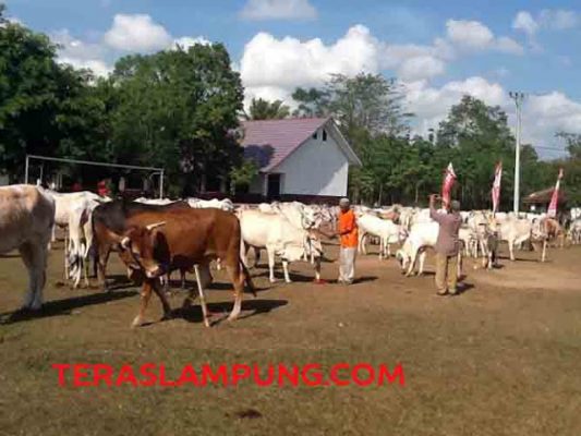 Peta Jalan Kawasan Sapi Potong di Kabupaten Lampung Tengah