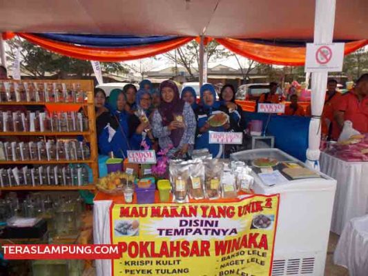 Winaka, Produsen Olahan Lele dari Kotagajah Timur
