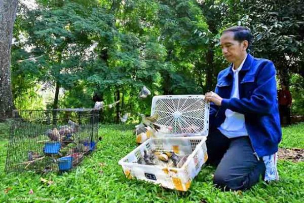 Borong Burung di Pasar Pramuka, Presiden Jokowi Dinilai Keliru