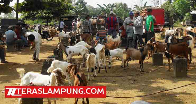 Pertumbuhan Ekonomi Lampung Tengah Melambat