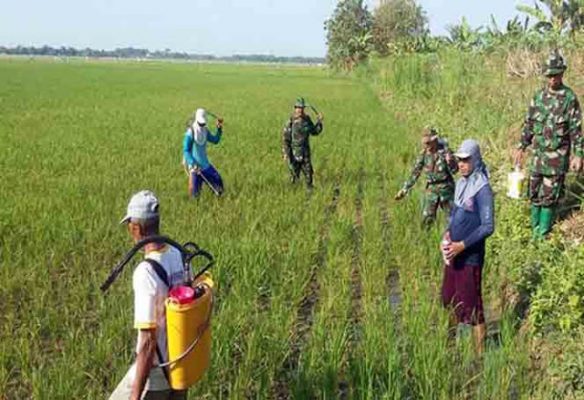 Dandim Lamsel ajak Petani Bekerjasama Kembangkan Sistem Pengairan