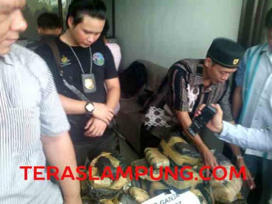 Ibu Rumah Tangga Diancam Hukuman Mati karena Kendalikan Bisnis 39 Kg Ganja