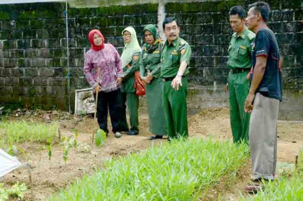 Chrisna Putra Berkunjung ke KWT Mutiara di Kelurahan Yosodadi