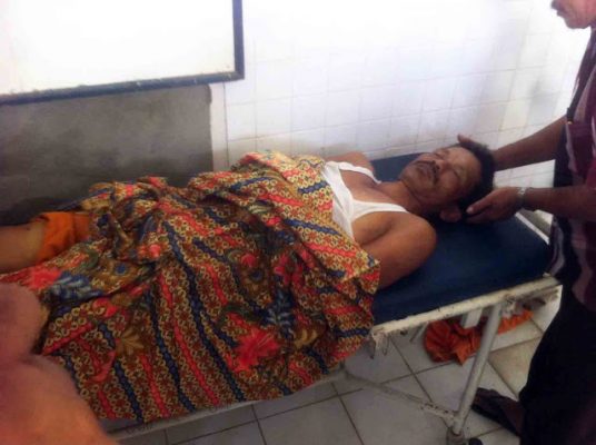 Dua Petugas DKP Lamsel Terjatuh saat Pangkas Pohon, Satu Meninggal