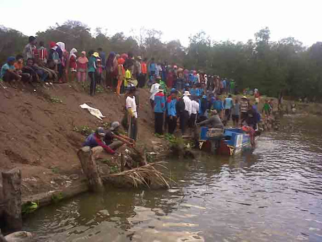 Petambak Bumi Dipasena Tanam 10 Ribu Batang Mangrove