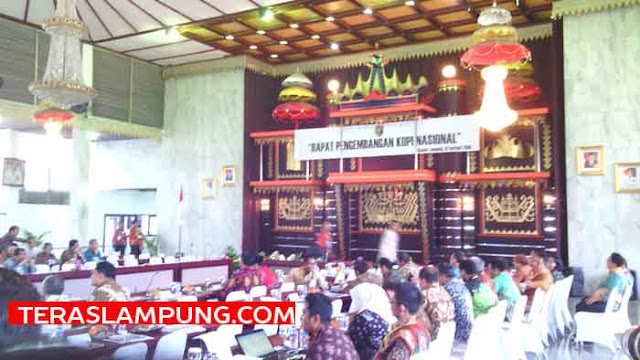 Sumbang 50 Persen Kopi Nasional, Wapres Jusuf Kalla Puji Lampung
