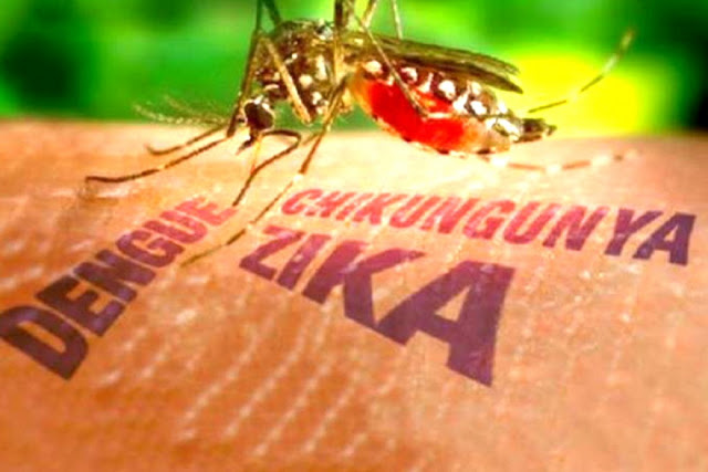 Kementerian Kesehatan Terbitkan Travel Advisory Terkait Virus Zika