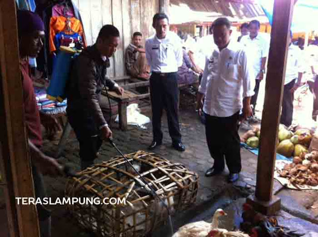 Cegah Flu Burung, Distanak Lampung Utara Lakukan Penyemprotan