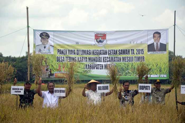 Pemkab Mesuji Gelar Panen Perdana di Sawah Baru Desa Karya Mandiri