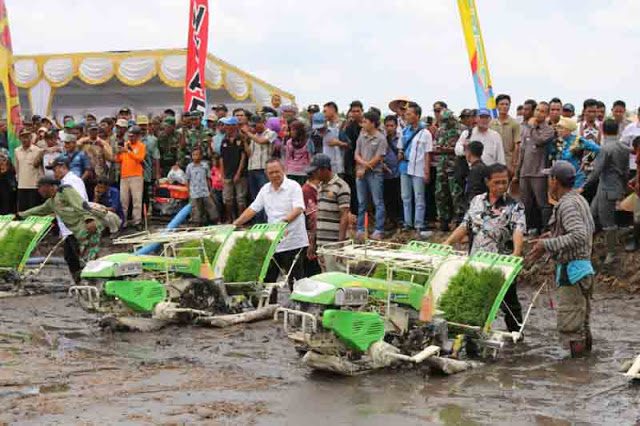 Pemprov Lampung akan Cetak 15.260 Sawah Baru pada 2016