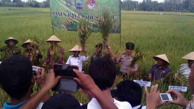 PPNSI Lampung Panen Raya dan Dirikan Rumah Burung Hantu di Lampung Selatan