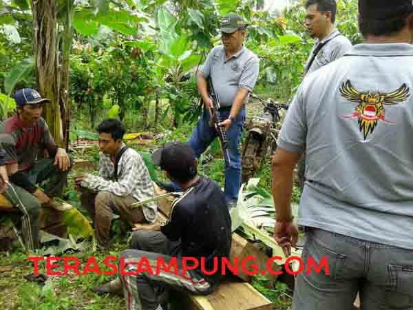 Galeri Foto: Penggerebekan Kayu Ilegal Taman Hutan Rakyat Wan Abdurrahman