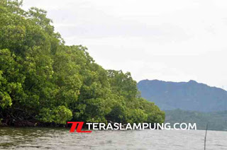 Film Pelajar: Cerita tentang Pulau Pahawang