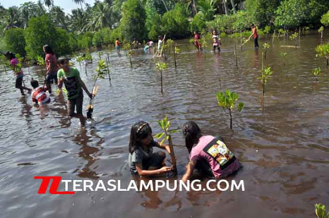 Perempuan Pelindung Bumi